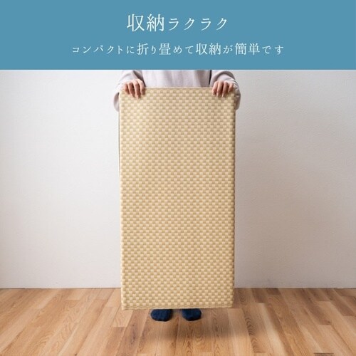 洗えるラグ ラック BR 174×261cm