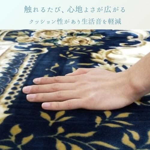 ラグ DXミレアム NV 200×240cm