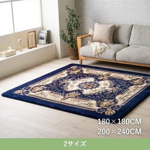 ラグ DXミレアム NV 200×240cm