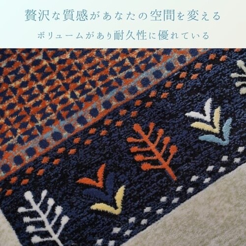 ラグ パシオン NV 200×240cm