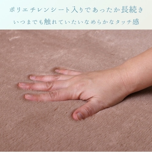 ラグ ウイン BE 180×180cm