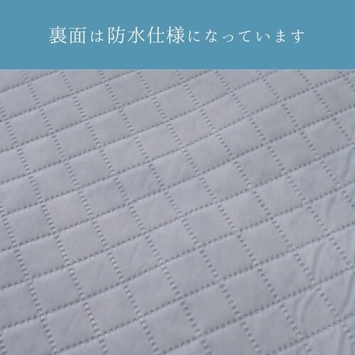 レジャーマット エスナBK 190×190cm