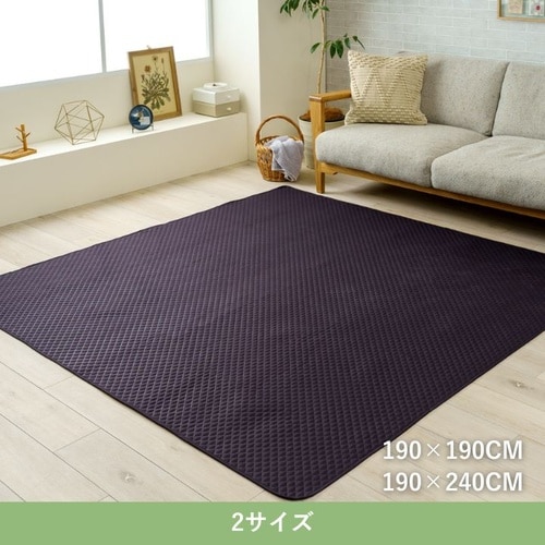 レジャーマット エスナBK 190×240cm