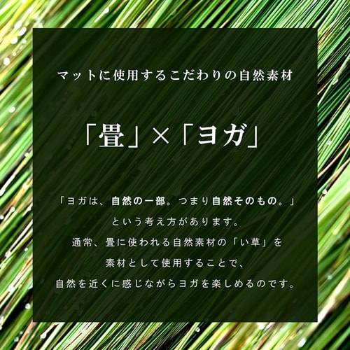 ヨガマット mandalaBR 66×185cm