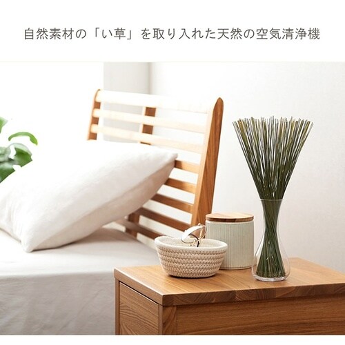 雑貨 い草 みらい 60cm 容量:50g