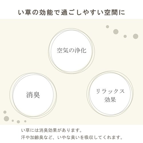 雑貨 い草 みらい 60cm 容量:50g