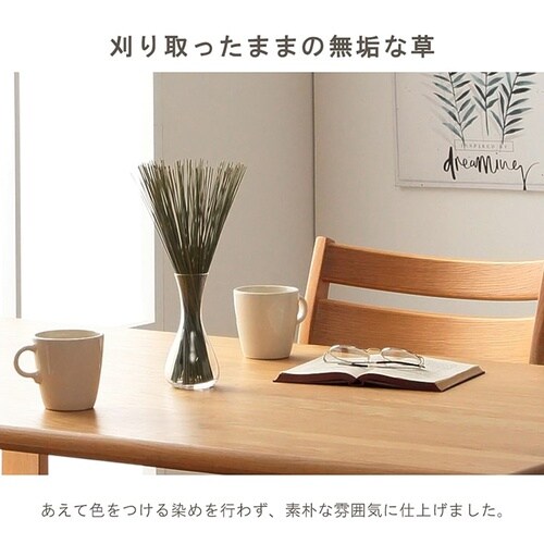 雑貨 い草 みらい 60cm 容量:50g