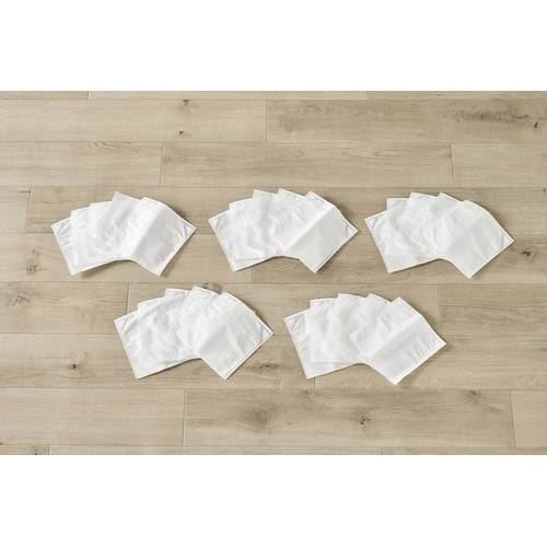 充電式紙パックDCBLヘッドクリーナー ホワイト