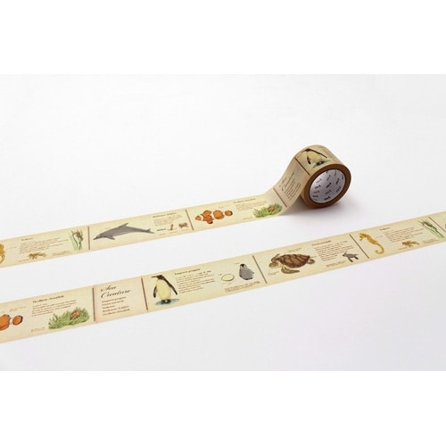 mtex図鑑・海洋生物×10