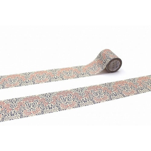 mtモリスMichaelmasDaisy×10