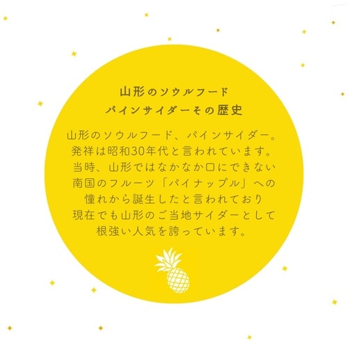 山形パインサイダー250ml×30