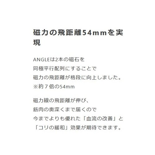 磁気ネックレス アングル e.モデル02 カラー: