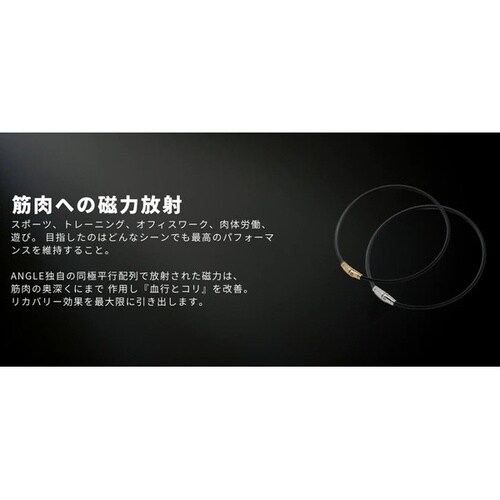 磁気ネックレス アングル e.モデル02 カラー: