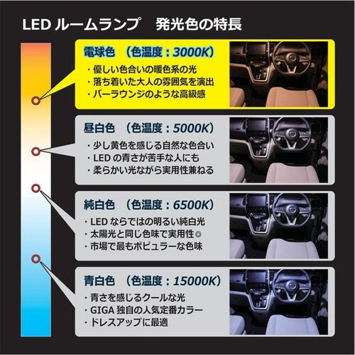 LEDルームR100S 3000K ホワイト