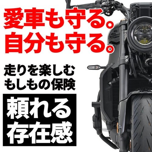 パイプエンジンガード MT−09/SP(21−22