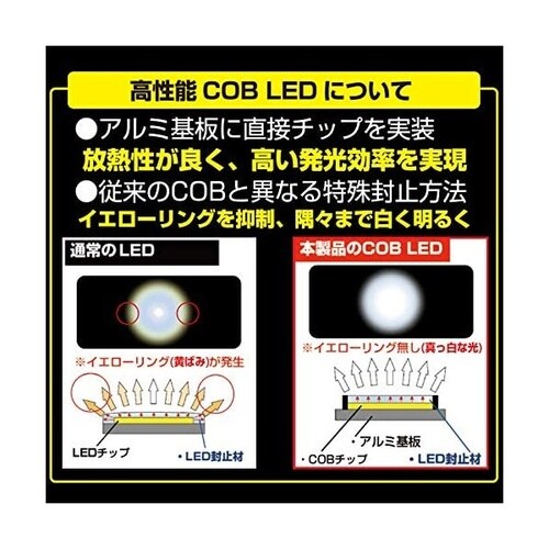 ルームランプ用LEDバルブ 6000K 12V1.