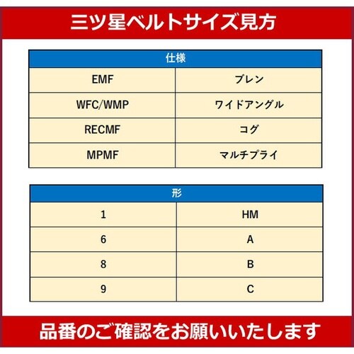リブスターベルト