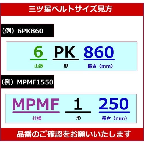 ローエッジコグベルト