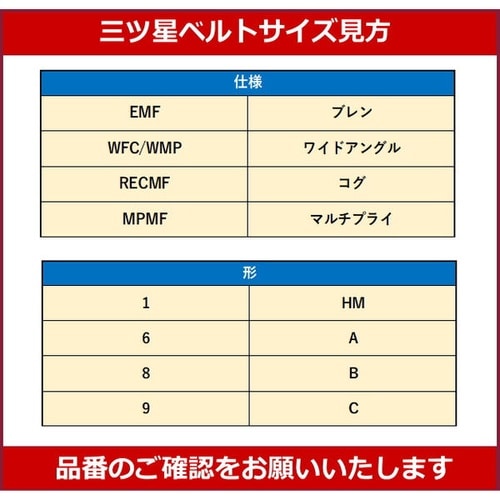 ローエッジコグベルト