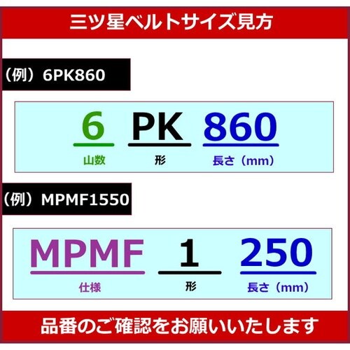 ローエッジコグベルト