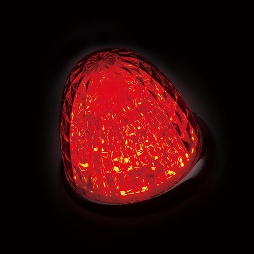 牙龍マーカーランプ(LED光源) カラー:レッド