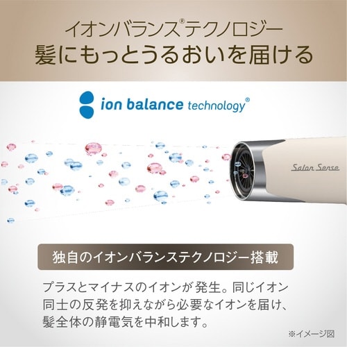 ハイスピードイオンバランスドライヤーミストベージュ