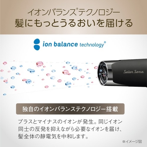 ハイスピードイオンバランスドライヤー ブラック