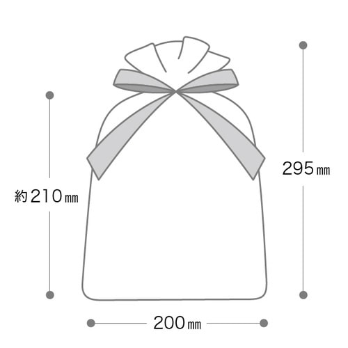 オーガンジーバッグ ゴールド L 10枚