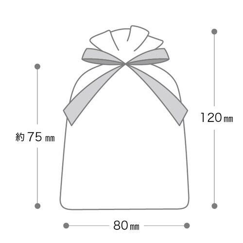 オーガンジーバッグ ゴールド SS 10枚