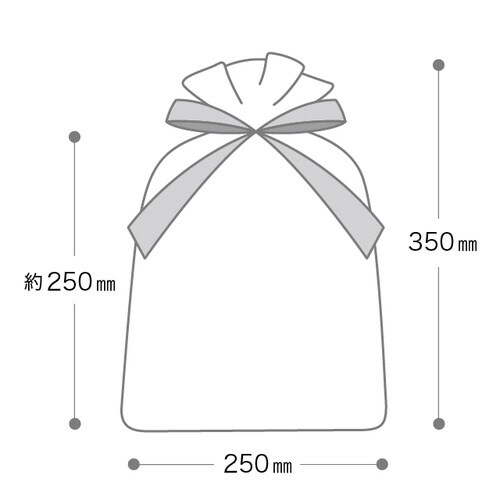 オーガンジーバッグ グレー LL 10枚