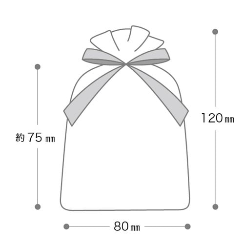 オーガンジーバッグ グレー SS 10枚