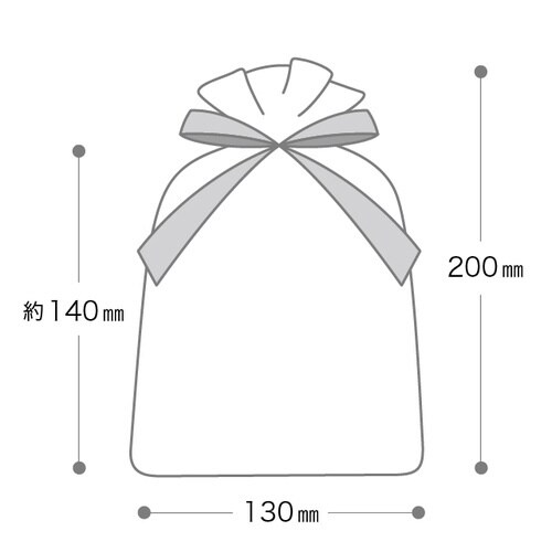 オーガンジーバッグ ホワイト M 10枚