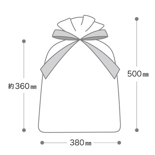 オーガンジーバッグ ホワイト XL 10枚
