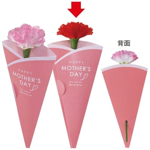 母の日カーネーション(メッセージカード付)×100