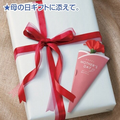 母の日カーネーション(メッセージカード付)×100