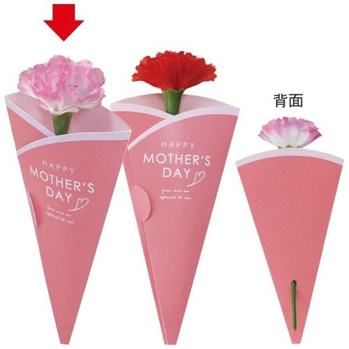 母の日ピンクカーネーションメッセカード付×100