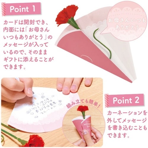 母の日ピンクカーネーションメッセカード付×100
