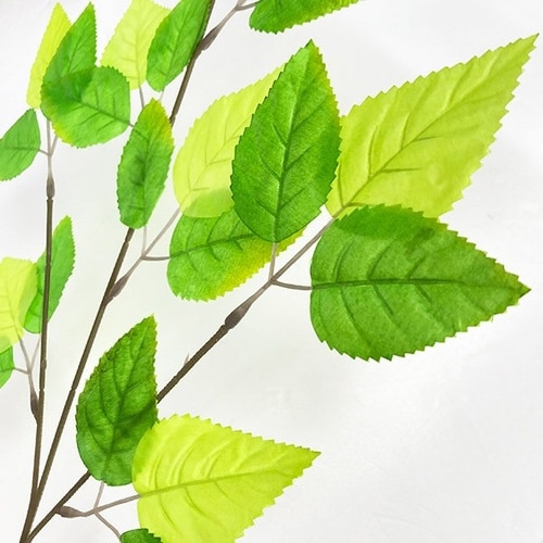 若葉スプレー 10本入