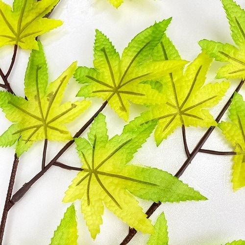 楓スプレー 10本入