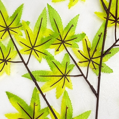 楓スプレー 10本入