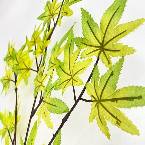 楓スプレー 10本入