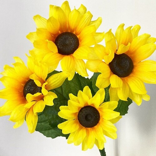 ひまわりブッシュ 10本入