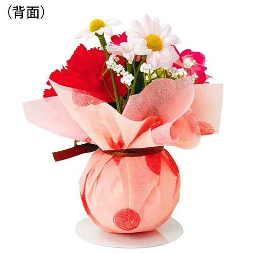 カーネーションボールPOPセット