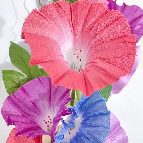 朝顔スダレペアスタンド