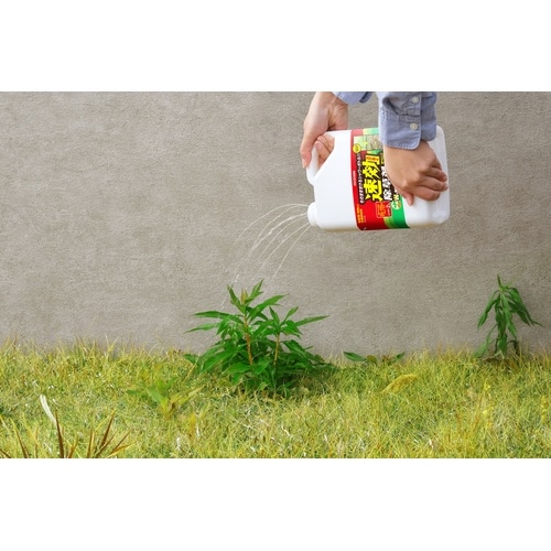 速効除草剤2L WSJー2L