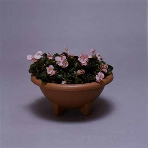 ボールプランター 330E ブラウン