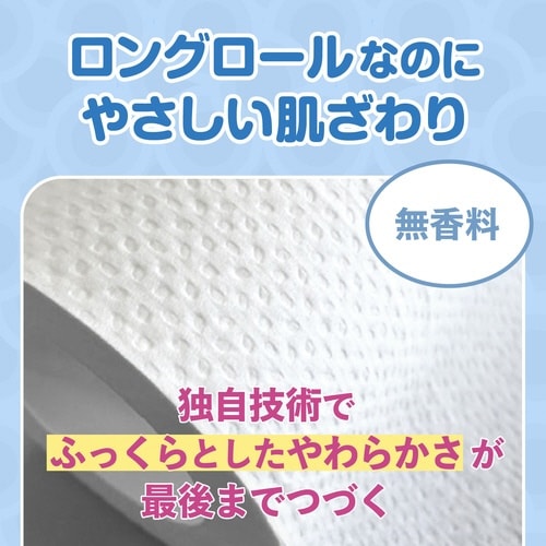 パルプトイレットペーパー W50m 48個5梱以上