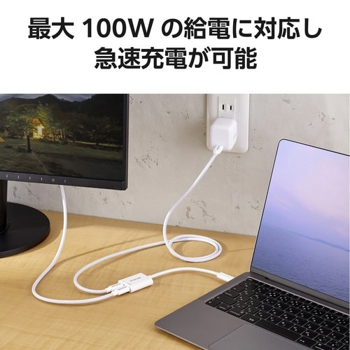 USB−C 変換アダプタ 100W ホワイト