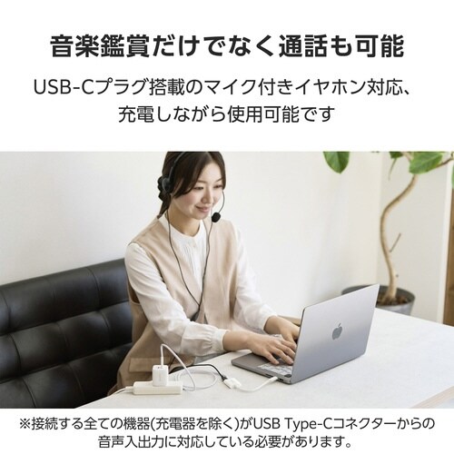 USB−C 変換アダプタ 100W PD ホワイト