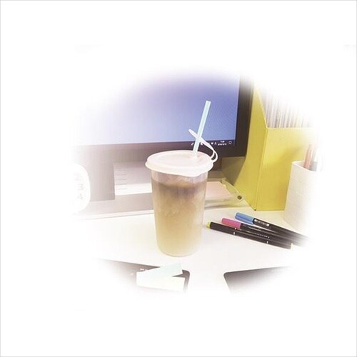 キャップ付ストローカップ500mL アイス